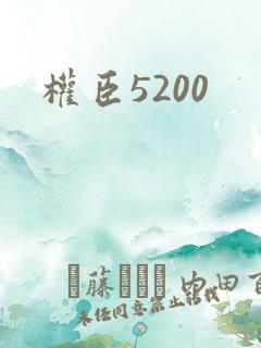 权臣5200