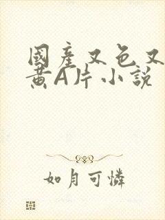 国产又色又爽又黄A片小说