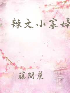 辣文小寡妇