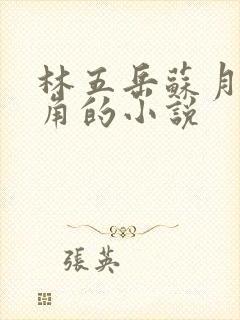 林五岳苏月灵主角的小说