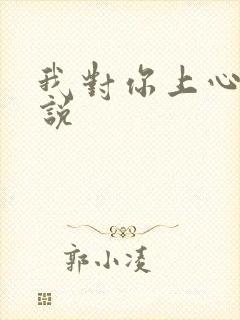 我对你上心了小说