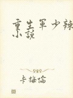重生军少辣娇妻小说