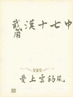 武汉十七中女主角