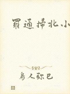 罗通扫北小说