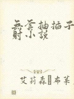 无套抽插子宫内射小说