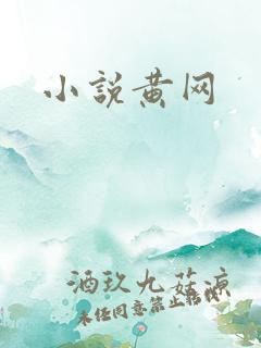 小说黄网