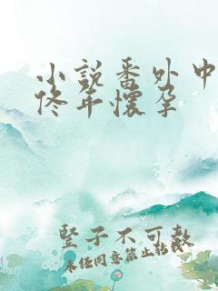 小说番外中结局佟年怀孕