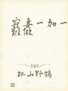 宠妻一加一老婆难做