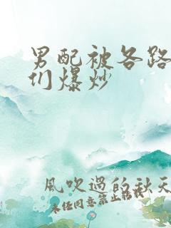 男配被各路大佬们爆炒