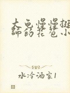 大龟慢慢挺进老师的花苞小说