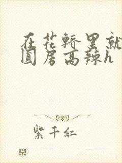 在花轿里就开始圆房高辣h