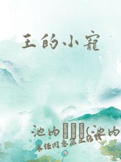 王的小宠