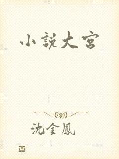 小说大宫