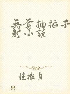 无套抽插子宫内射小说