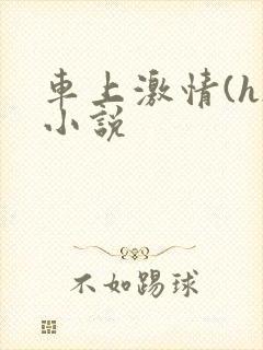 车上激情(h)小说