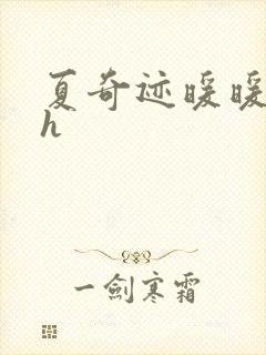 夏奇迹暖暖快穿h