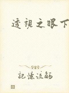 透视之眼下载