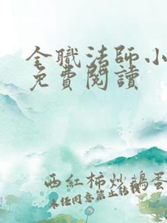 全职法师小说 免费阅读