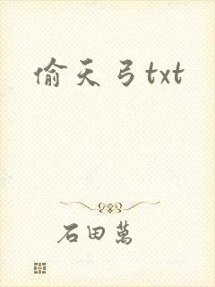 偷天弓txt
