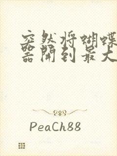 突然将蝴蝶遥控器开到最大