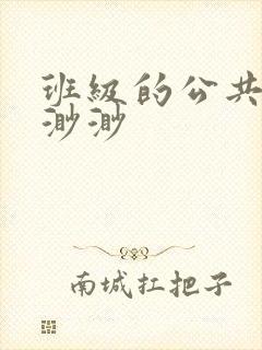 班级的公共玩具渺渺