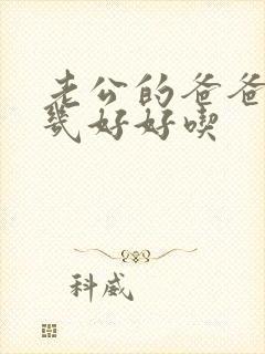 老公的爸爸的几几好好吃