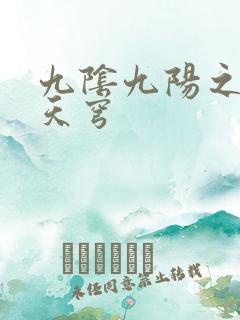 九阴九阳之武战天穹