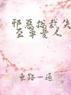 邪恶总裁失心劫 至尊爱人