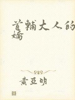 首辅大人的掌心娇