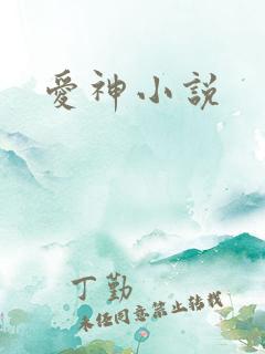 爱神小说