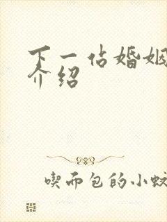 下一站婚姻剧情介绍