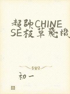 超帅CHINESE校草飞机BLUE