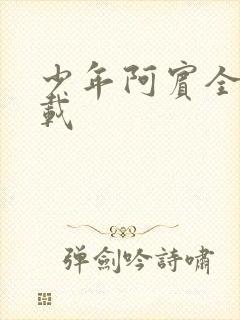 少年阿宾全集下载