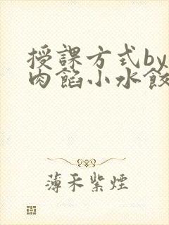 授课方式by 肉馅小水饺