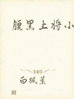 腹黑上将小小妻