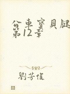 公车宝贝腿开点第12章