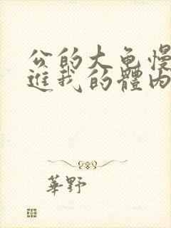 公的大龟慢慢挺进我的体内小说