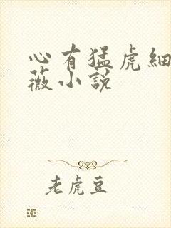 心有猛虎细嗅蔷薇小说