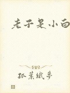 老子是小白脸