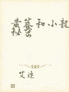 黄蓉和小龙女的秘密