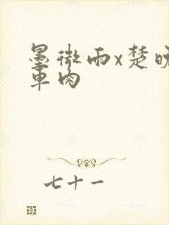 墨微雨x楚晚宁车肉