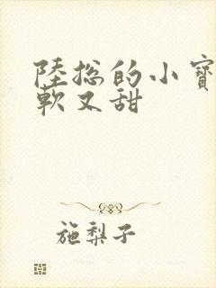 陆总的小宝贝又软又甜