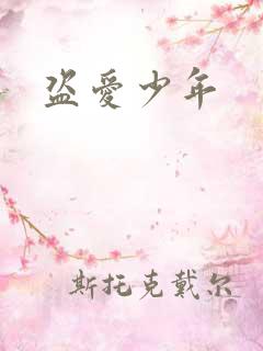 盗爱少年
