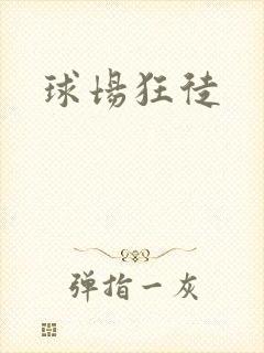 球场狂徒
