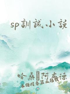 sp训诫小说
