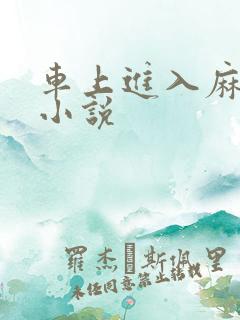 车上进入麻麻的小说