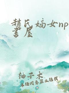 赵氏嫡女np御书屋