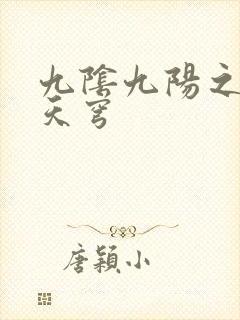 九阴九阳之武战天穹