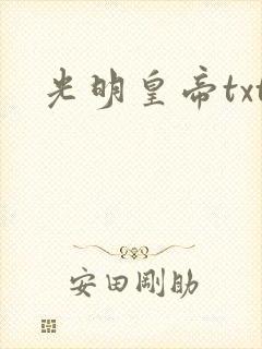 光明皇帝txt