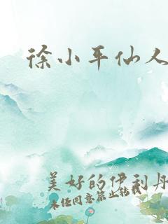 徐小平仙人指路